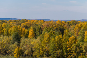 Aerial view of colorful autumn trees