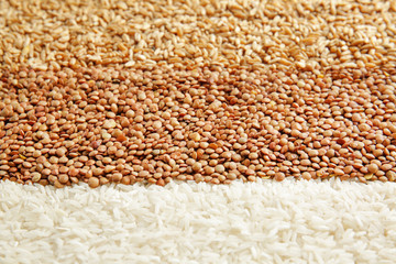 Different types of cereals and legumes, closeup