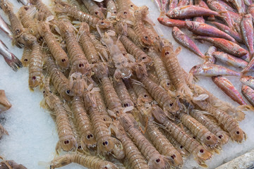 Fresh Mediterranean shrimps on ice market stall