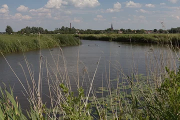 Fototapete Friesische Landschaft © rijkkaa