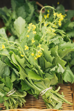 Bunches of fresh broccoli rabe in market