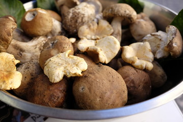 porcini mushrooms