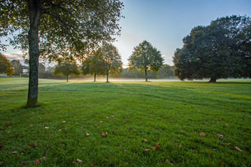 Beautiful Blaise parkland trees shrouded in mist backlit by the morning sunrise