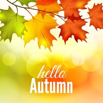 Fall colorful maple leaves on the bokeh background, vector illustration