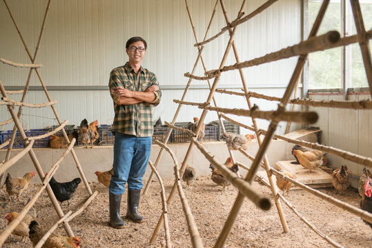 Young farmer standing in henhouse