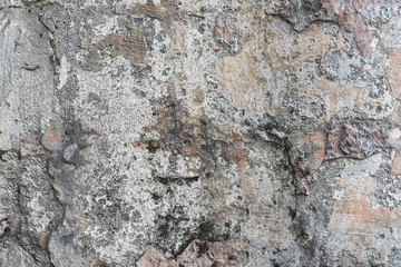 cracked concrete wall covered with gray cement texture as background