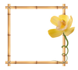 Realistic bamboo frame with orchid flower.