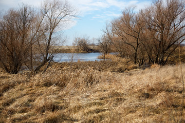 Dry winter grassland and frozen pond