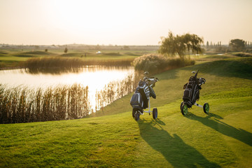 golf bags on green