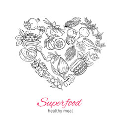 Vector hand drawnn superfood