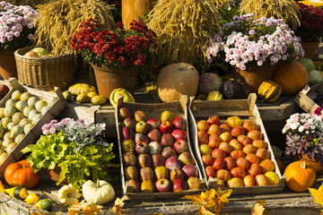 Fruit market. Apples, oranges and other fruit in wooden box. 