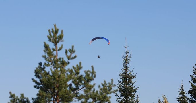 Flying Paraglider on a Background of the Sun and Beautiful Clouds.summer Day