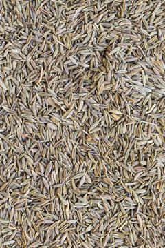 Cumin seeds background
