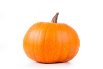 Halloween pumpkin on a white background