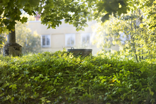 Water Well On A Green Hill Under The Big Tree. Strong Sunlight