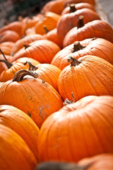 Slanted Image of Pumpkin Desplay
