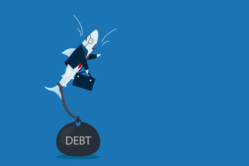 Shark businessman business concept.