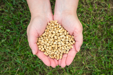 Wood pellets on green grass background in woman hands. Biofuels. Cat litter.