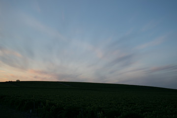 Naklejka na ściany i meble Sunset on vineyard 