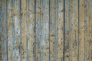 Fototapeta na wymiar Old wooden painted light blue rustic background, paint peeling
