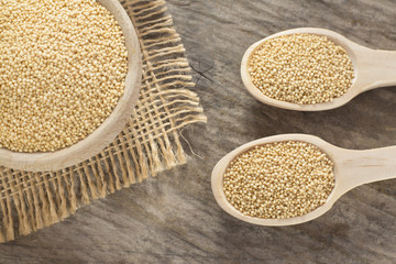 Amaranth seeds - Amaranthus