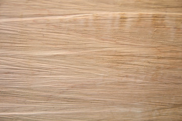 Fototapeta premium Tree rings texture background. Annual ring. Wooden cross section