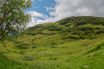 Obraz premium Viaduct amongst the Trees