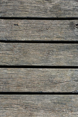 Fototapeta premium Auf dem Holzweg