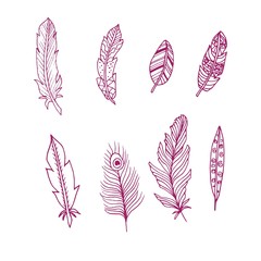 handdrawn feathers collection