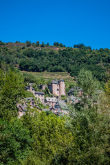 Fototapeta na wymiar Vue sur le village de Conques en Rouergue