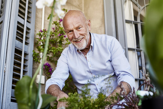 Smiling Senior Man Gardening On Balcony