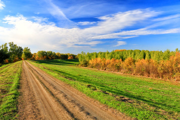 early autumn dirty road and colourful trees