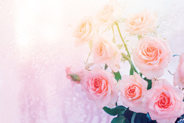 Obraz na płótnie Canvas bouquet of pink roses, romantic flowers, copy space, concept of Valentine day