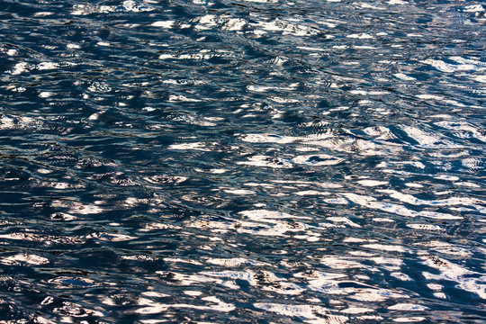 water reflex