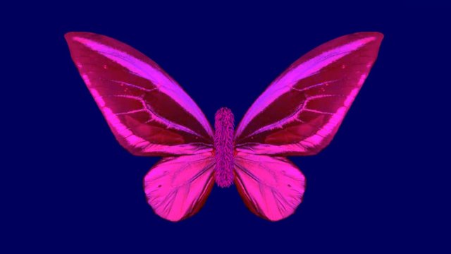 Vibrant purple butterfly in slow motion , stylized 3d animation . Ornithoptera priamus, Front view. Hairy body