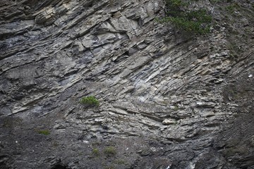 Folded layers of Jurassic carbonate rocks