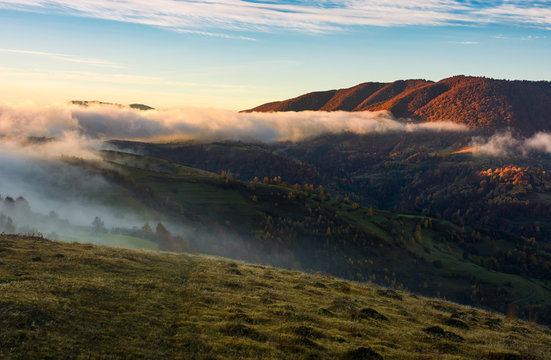 fog rolling over the hills at sunrise. stunning countryside autumnal background
