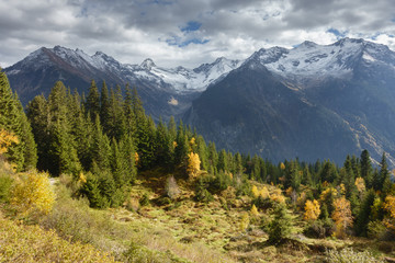 Obraz premium Jesienny las z Alpami w tle