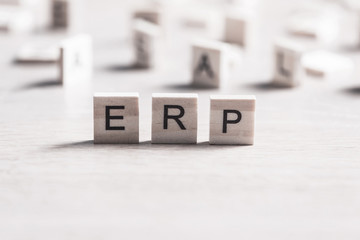 Enterprise Resource Planning concept