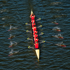 Crew Team in Competition