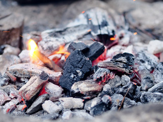 burnt coals and sparks