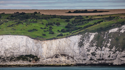 Famous White Cliffs of Dover with Meadow on Top on the Island of Great Britain
