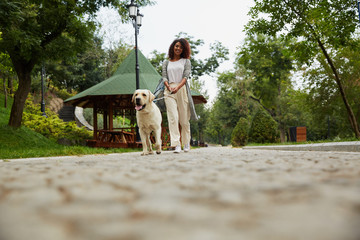 Beautiful lady holding dog on leash and looking camera © Drobot Dean