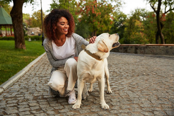 Young smiling lady in casual clothes sitting and hugging dog in park