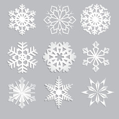 Set of snowflakes. Fine winter ornament. Snowflake collection