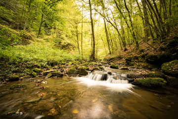 Obraz premium Mały wodospad w Eifel, długa ekspozycja