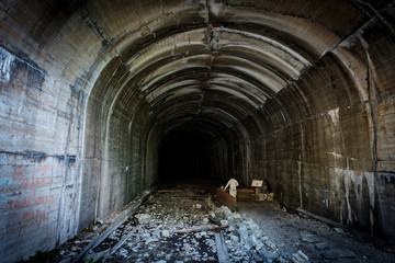 Fototapeta na wymiar A man standing in a dark train tunnel looking into the darkness