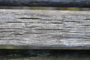 Holzstrukturen