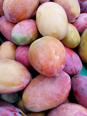 mature mangoes on the market