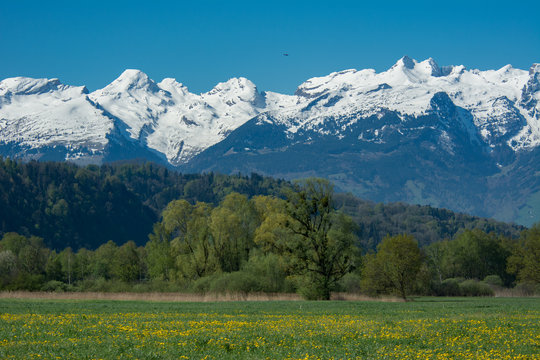 Alpenlandschaft bei Ruggell (Liechtenstein)